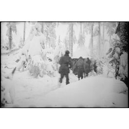 Imagesd Fense Patrouille De Reconnaissance Par Les Hommes Du Er Rfm