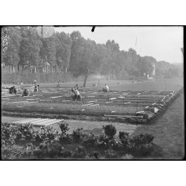 ImagesDéfense Versailles Trianon Seine et Oise Pépinières