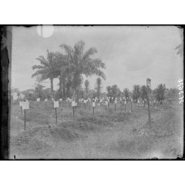 ImagesDéfense Douala Cimetière français Tirailleurs indigènes et