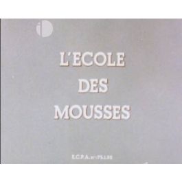 ImagesDéfense L école des mousses