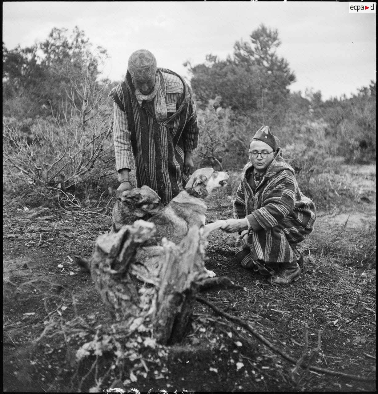 Supplétifs du 1er GSM (groupe de supplétifs marocains) de la 1re DMM (division de marche du Maroc) dans le secteur de Maktar.
