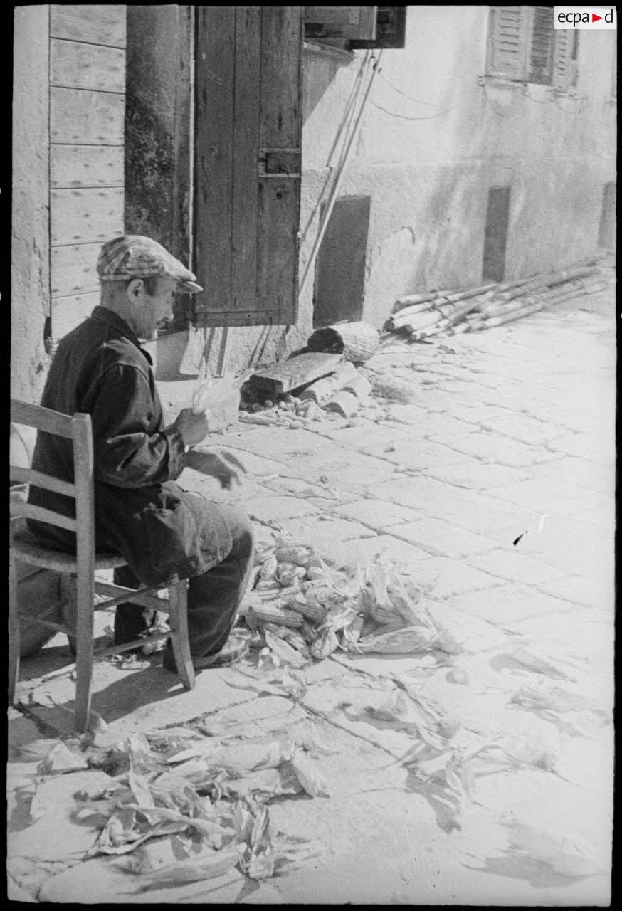 Dans un village, un paysan corse enlève les feuilles qui entourent des épis de maïs.