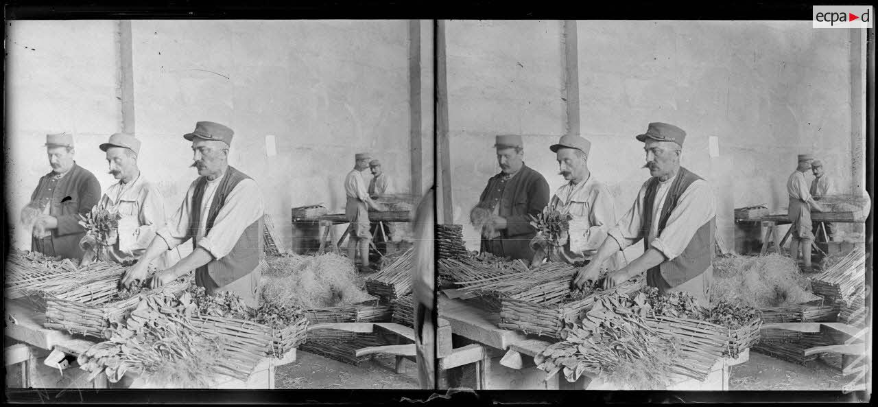 Versailles - pépinières nationales, chargement des camions. [légende d'origine]