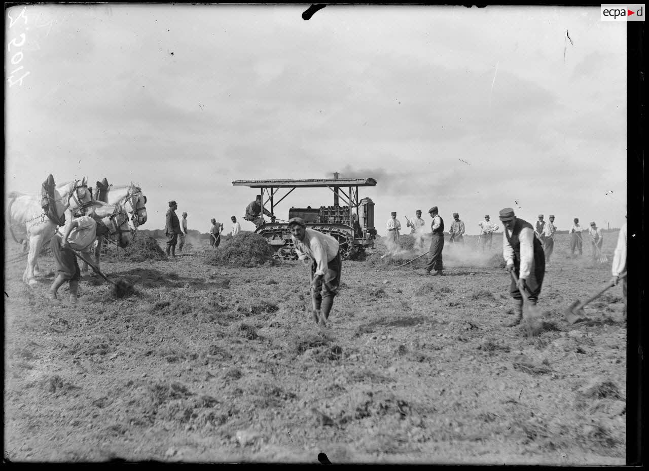 Versailles-Trianon (Seine-et-Oise). Pépinières nationales de plants de légumes. Défrichement avec tracteur et soldats canadiens. [légende d'origine]