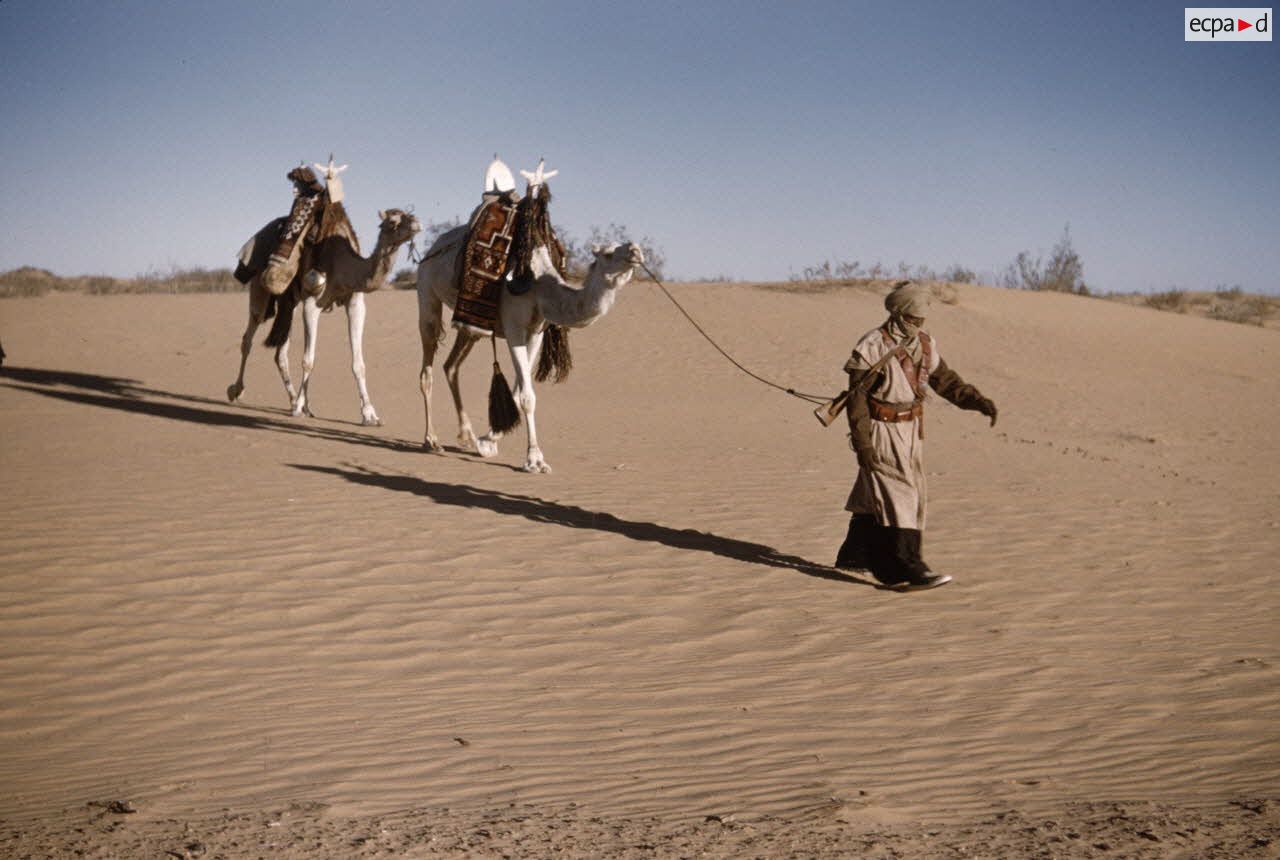 Titersine. [l&eacute;gende d'origine]