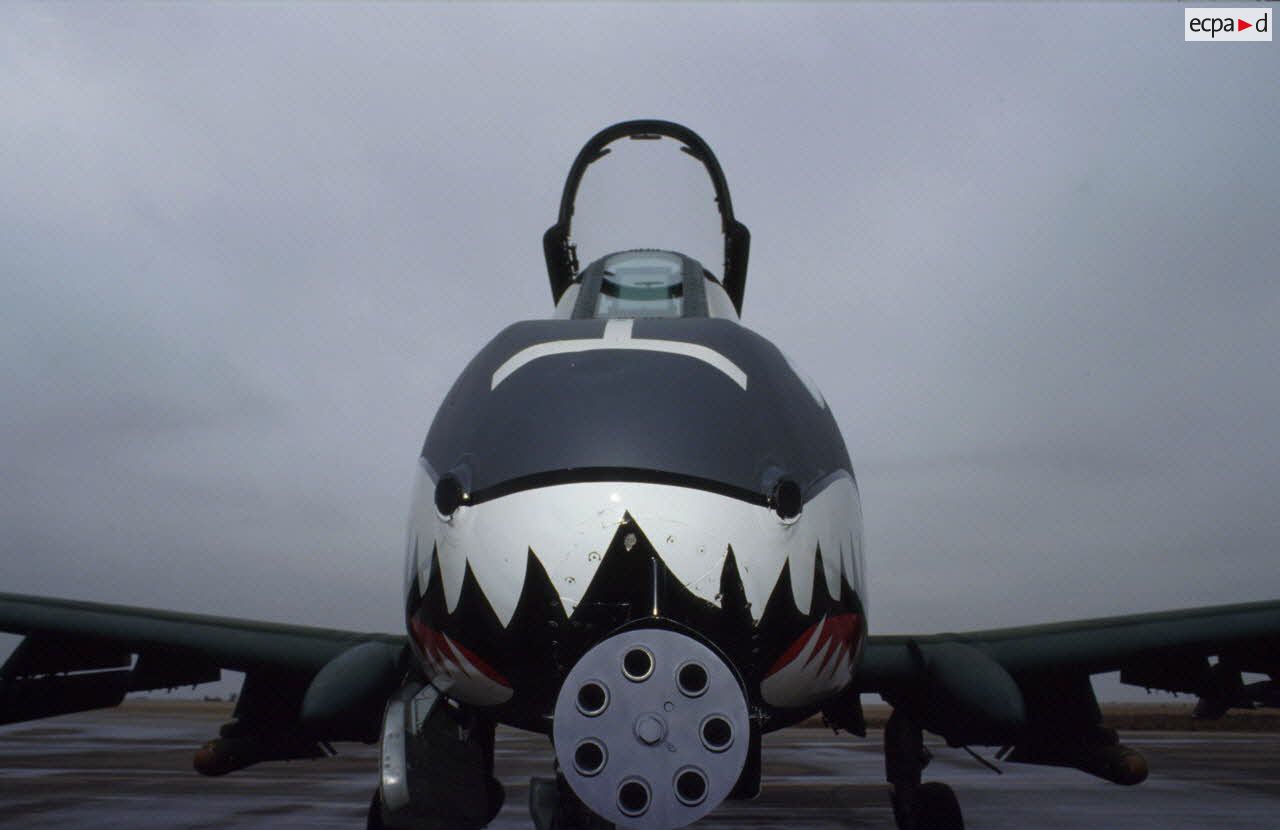 Vue frontale du nez peint de dents de requins et du canon d'un avion d'appui rapproch&eacute; Fairchild A-10 Thunderbolt-II sur le parking de la base am&eacute;ricaine &agrave; CRK (camp du roi Khaled).
