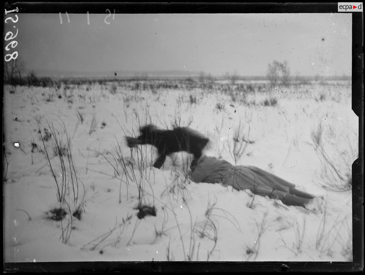 Roye près de Lure, Haute-Saône, chenil de la 7e armée. Le chien sanitaire découvre un blessé. [légende d'origine]