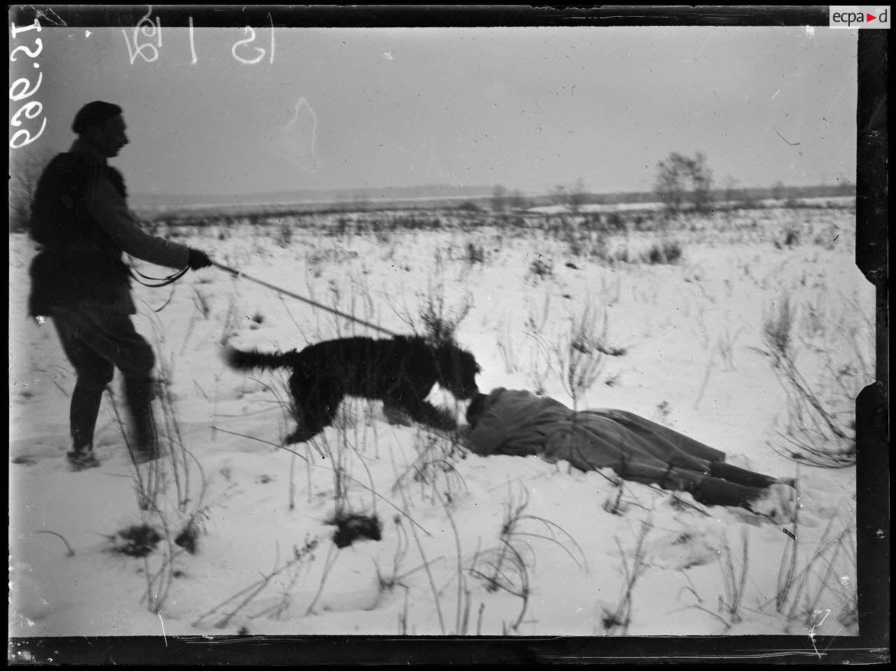 Roye près de Lure, Haute-Saône, chenil de la 7e armée. Le chien sanitaire amène son maître auprès du blessé qu'il a découvert. [légende d'origine]