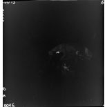 A proximité du front, une messe de Noël est célébrée dans une église d'Alsace. On reconnaît une crèche de Noël.