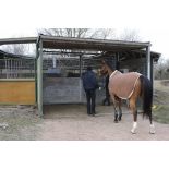 Palefrenier soigneur menant un cheval du Cadre noir à l'entraînement.