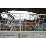 L'entraînement des chevaux du Cadre noir.