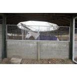 L'entraînement des chevaux du Cadre noir.