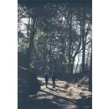 Parc du château, en bordure de la forêt de Laigue. [légende d'origine]