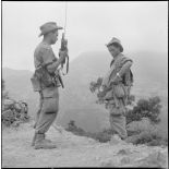 La 5e division blindée et le 19e bataillon de chasseurs à pied en opération dans les djebels à Nedroma. [Description en cours]