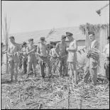 La 5e division blindée et le 19e bataillon de chasseurs à pied en opération dans les djebels à Nedroma. [Description en cours]