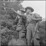 La 5e division blindée et le 19e bataillon de chasseurs à pied en opération dans les djebels à Nedroma. [Description en cours]