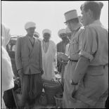 La 5e division blindée et le 19e bataillon de chasseurs à pied en opération dans les djebels à Nedroma. [Description en cours]