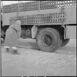 La 2e CAST à Ouargla. [Description en cours]