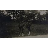 [Militaire du 138e régiment d'infanterie à cheval].