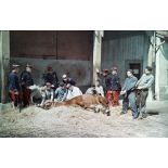 [Examen vétérinaire.]