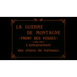 La guerre de montagne (front des Vosges) : l'entraînement des chiens de traîneaux.