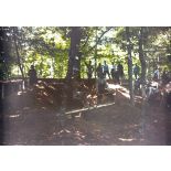 Travaux d'aménagement d'abris en sous bois. [légende d'origine]