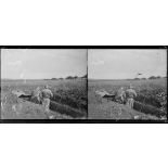 Mesnil-Saint-Georges (Somme). Nos premières lignes devant Montdidier. L'officier à son poste d'observation. Au fond, Montdidier en flammes. [légende d'origine]