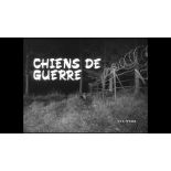 Chiens de guerre.