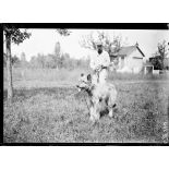 Vulaines-sur-Seine (Seine-et-Marne). Chenil militaire du capitaine Mallerich. [légende d'origine]