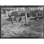 Lamorlaye (Oise). Camp de prisonniers allemands. Prisonniers faisant des piquets. [légende d'origine]