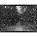 Forêt de Villers-Cotterêts (Aisne). Un chemin en forêt. [légende d'origine]