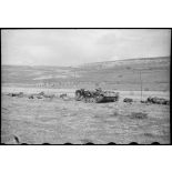 Epave d'un char moyen allemand Panzer-III sur le champ de bataille de Kasserine.