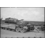 Epave d'un char britannique Crusader II sur le champ de bataille de Kasserine.