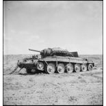 Epave d'un char britannique Crusader II sur le champ de bataille de Kasserine.