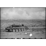 Epave d'un char britannique Crusader II sur le champ de bataille de Kasserine.