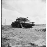 Epave d'un char britannique Crusader II sur le champ de bataille de Kasserine.