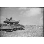 Epave d'un char britannique Crusader Mk III sur le champ de bataille de Kasserine.