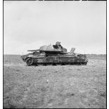 Epave d'un char britannique Crusader Mk III sur le champ de bataille de Kasserine.