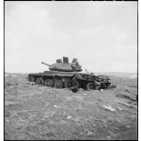 Epave d'un char britannique Crusader Mk III sur le champ de bataille de Kasserine.