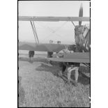 Sur l'aérodrome de Valence-Chabeuil (Drôme), des planeurs DFS-230 du Luftlandegeschwader 1 peu avant une mission.