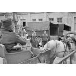 Dans un magasin d'approvisionnement, une bouteille de Champagne ou de mousseux (Sekt) est présentée à un soldat sur sa charrette.