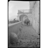 Sur l'île de Santorin, mulets chargés dans une rue.