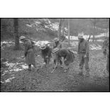 Soldats de la 1re DMI (division de marche d'infanterie) déminant dans un bois sur les hauteurs dominantes au nord-est de Champagney.