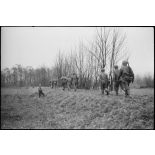 Une patrouille de fantassins américains à l'est de Sélestat.