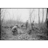 Une patrouille de fantassins américains à l'est de Sélestat.
