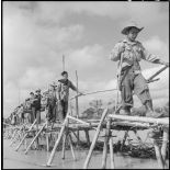 Des éléments du bataillon de marche indochinois (BMI) progressent sur un pont de bambous au cours de l'opération Marécages.