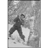 Abattage d'arbres au centre d'entraînement en montagne du Lioran.
