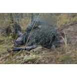 Un groupe de tireurs du 2e régiment étranger d'infanterie (2e REI) s'infiltre en forêt de Kadaga, en Lettonie.