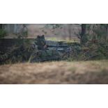 Un groupe de tireurs du 2e régiment étranger d'infanterie (2e REI) tient une position en forêt de Kadaga, en Lettonie.