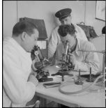Laboratoire de bactériologie de l'école d'application du Service de santé des troupes coloniales.